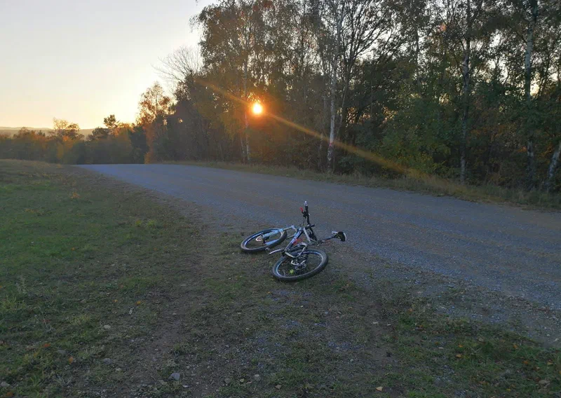 Abendsonne am Waldrand