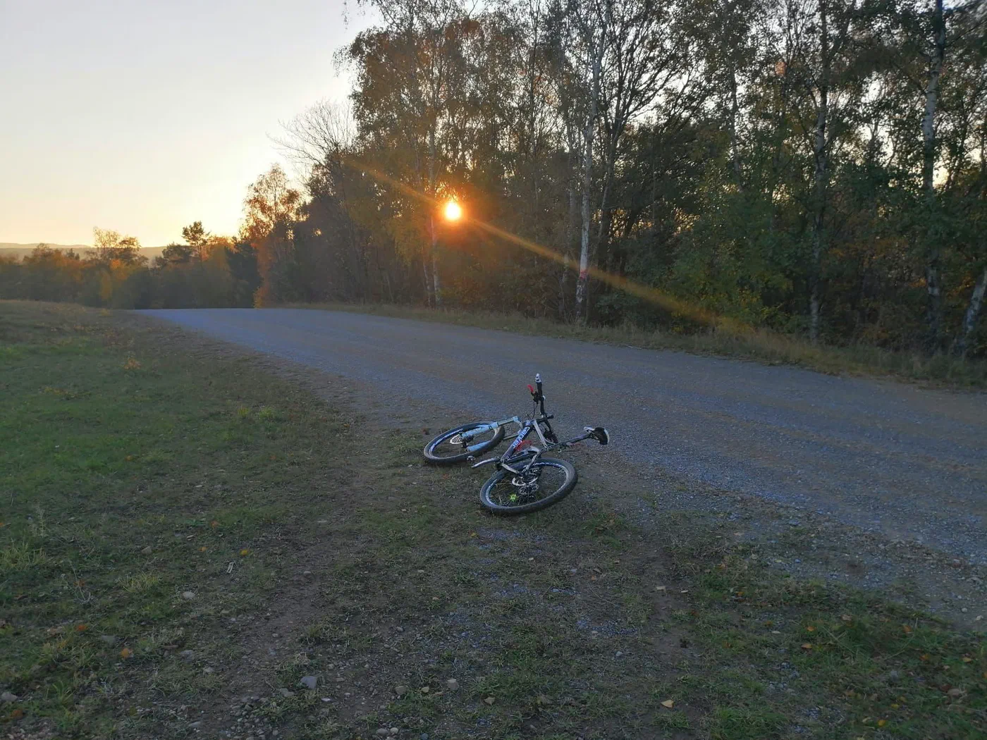 Abendsonne am Waldrand