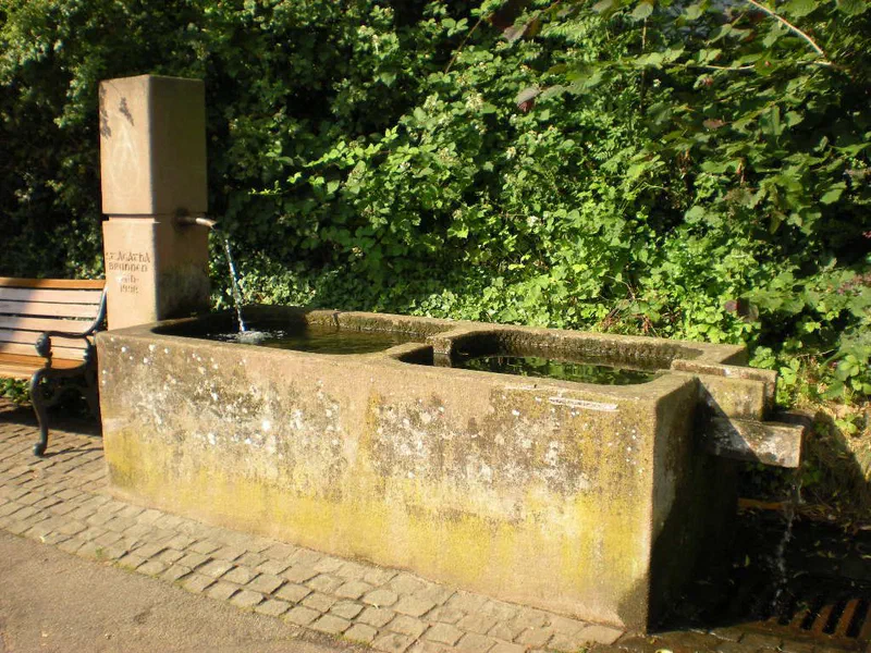 Der Dorfbrunnen