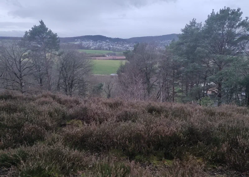 Blick aus der Heide ins Tal