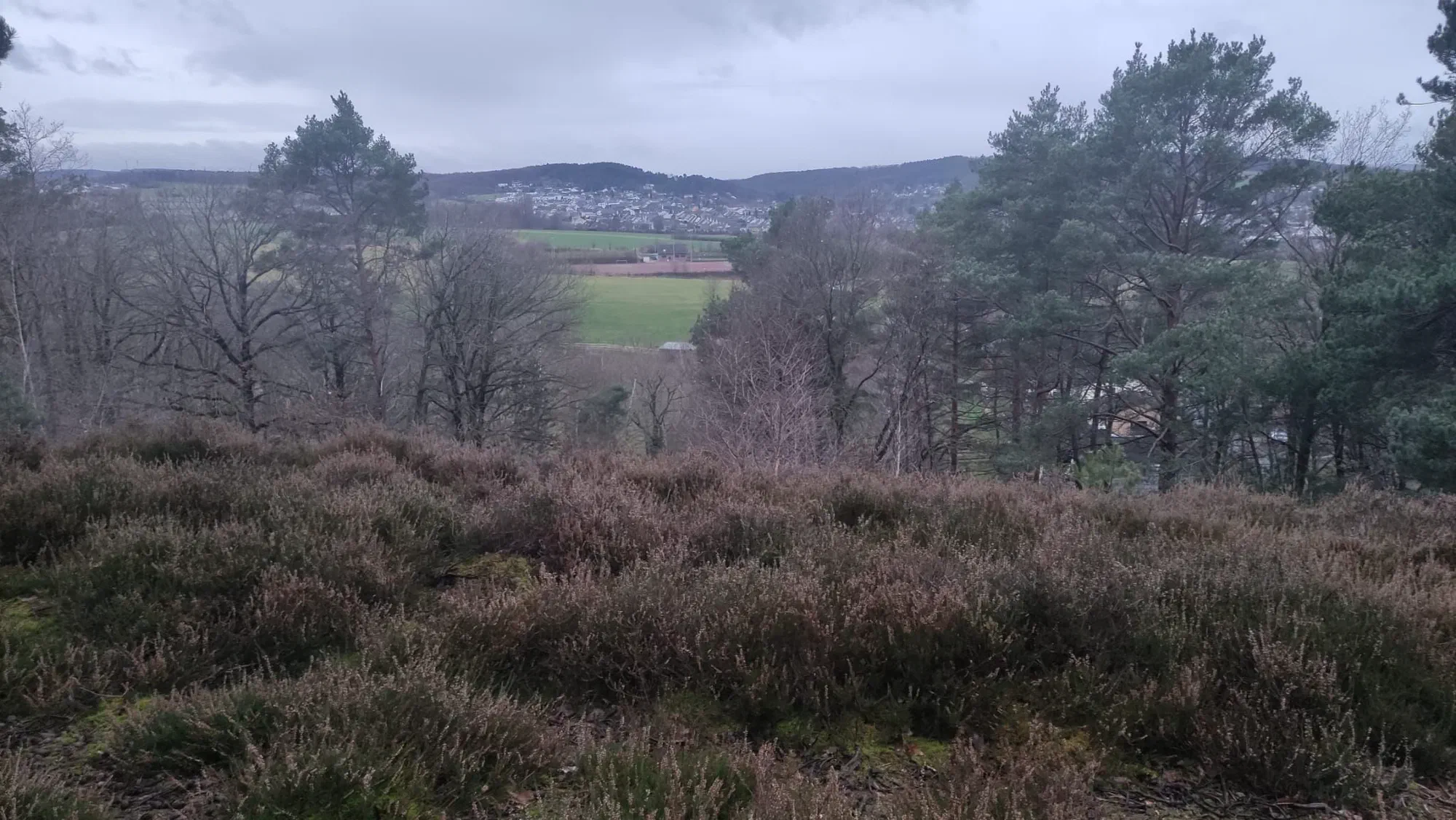 Blick aus der Heide ins Tal