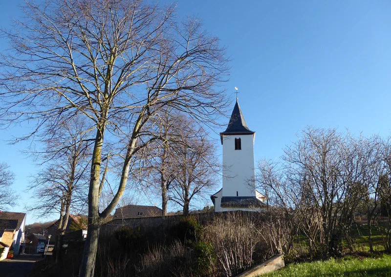 Kirche St. Agatha hinter kahlen Bäumen