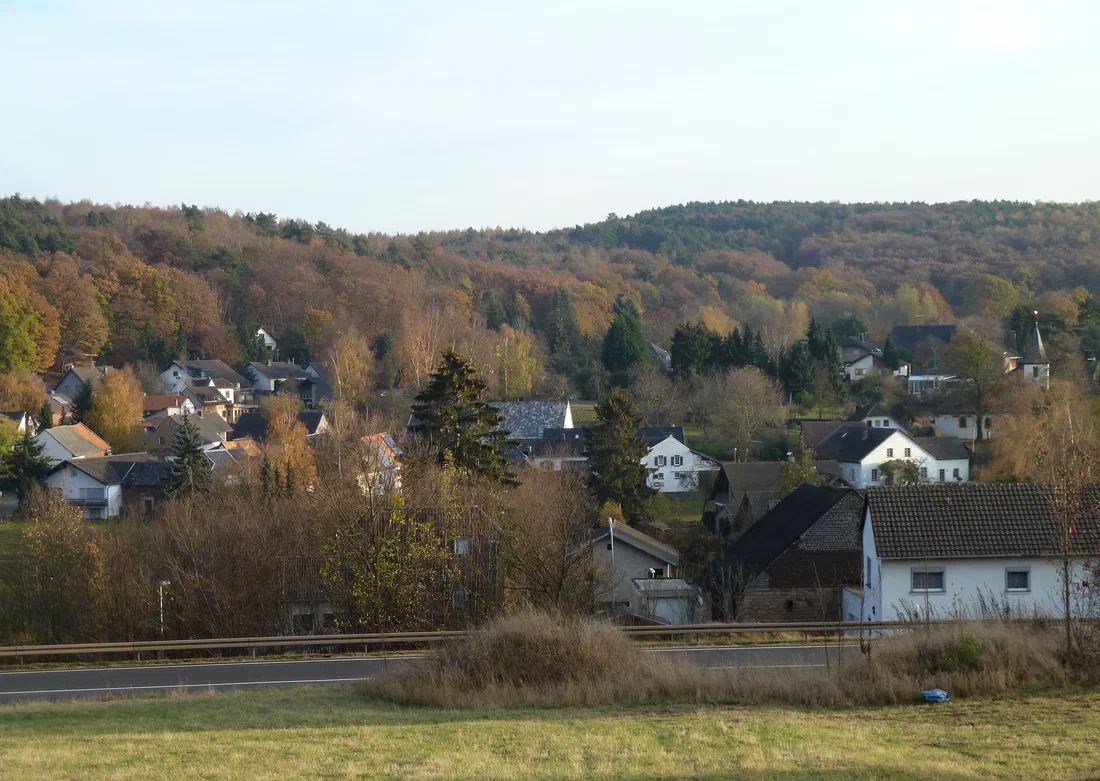 Schaven im Herbst