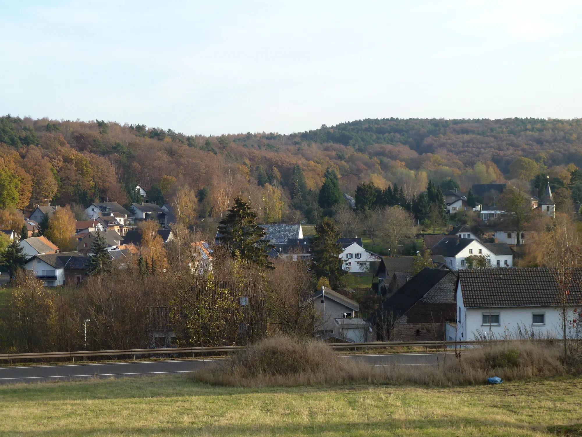 Schaven im Herbst