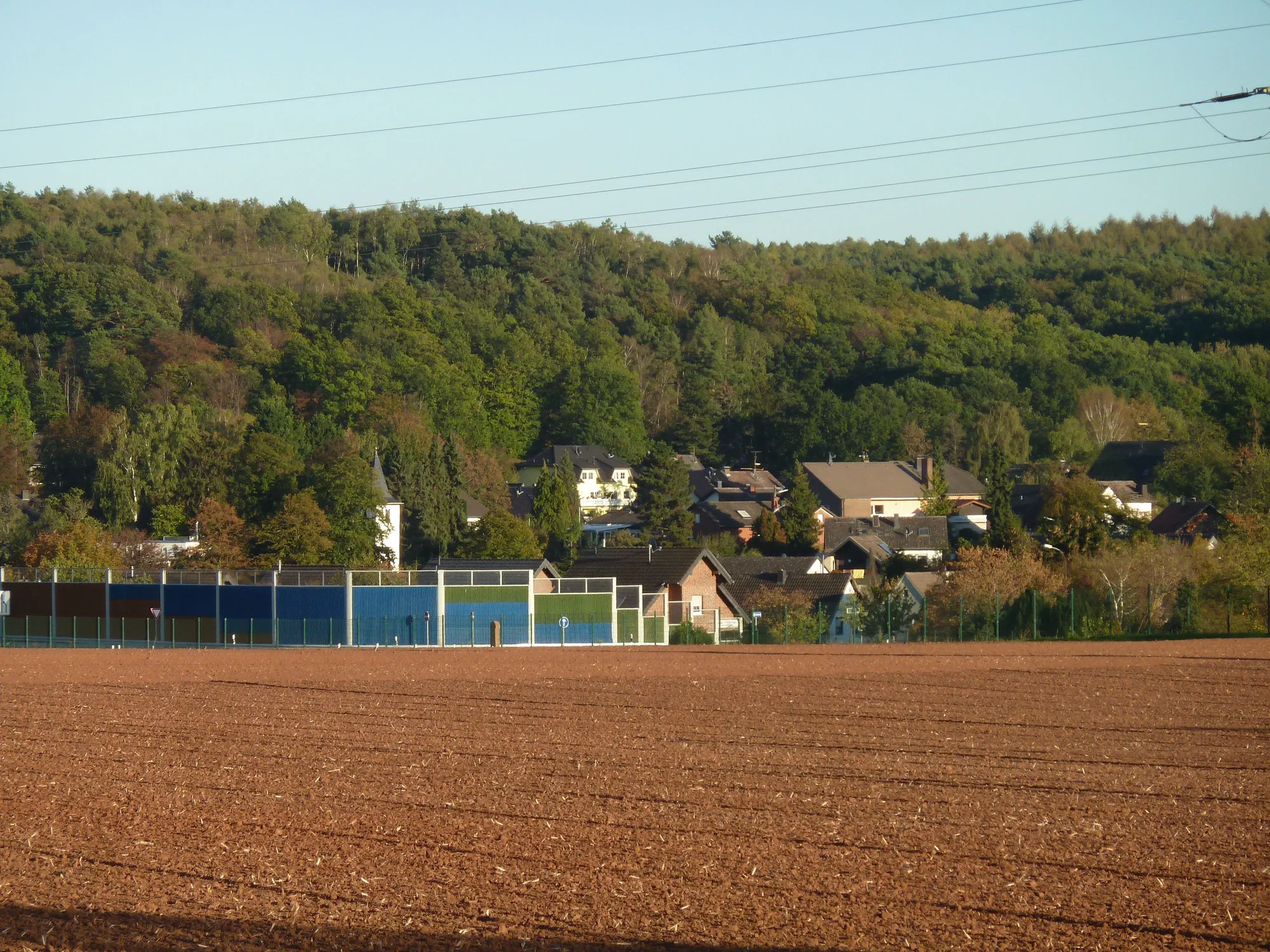 Schaven vor dem herbstlichen Wald