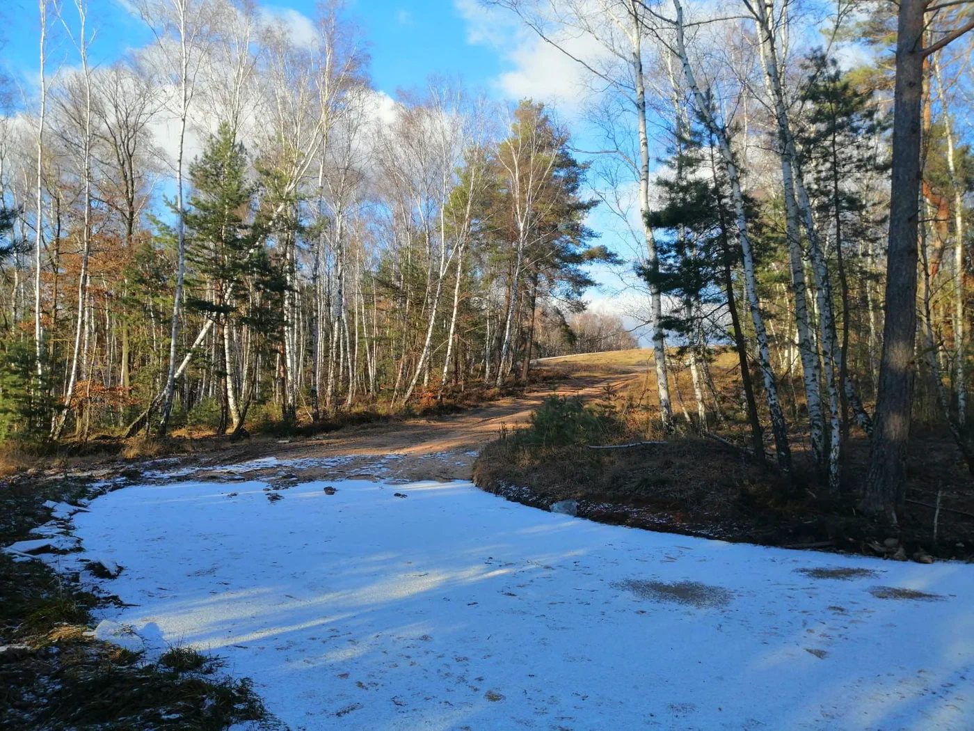 Waldweg mit Schneeresten