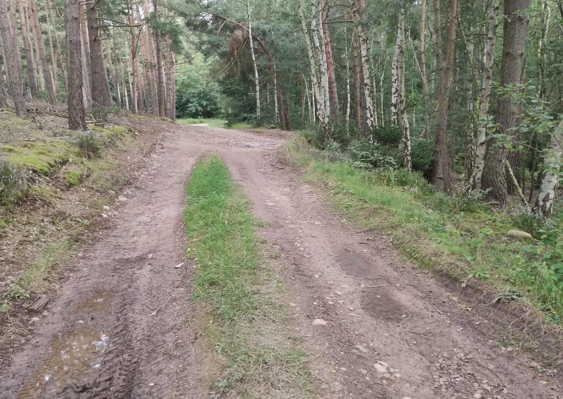 Waldweg